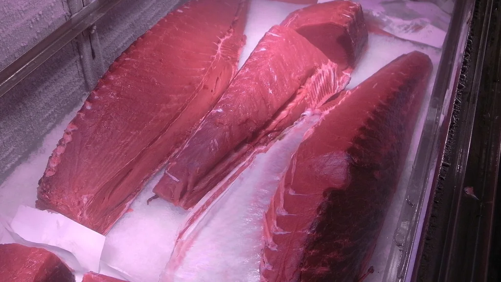 Trancio di tonno crudo pronto per la lavorazione