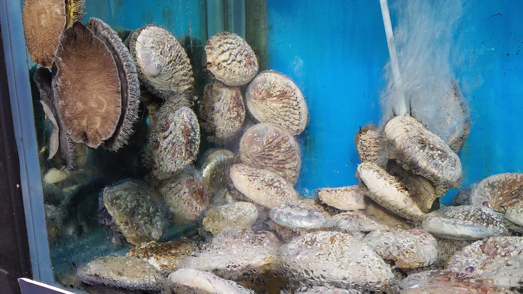 Banco di pesce fresco in un ristorante di mare