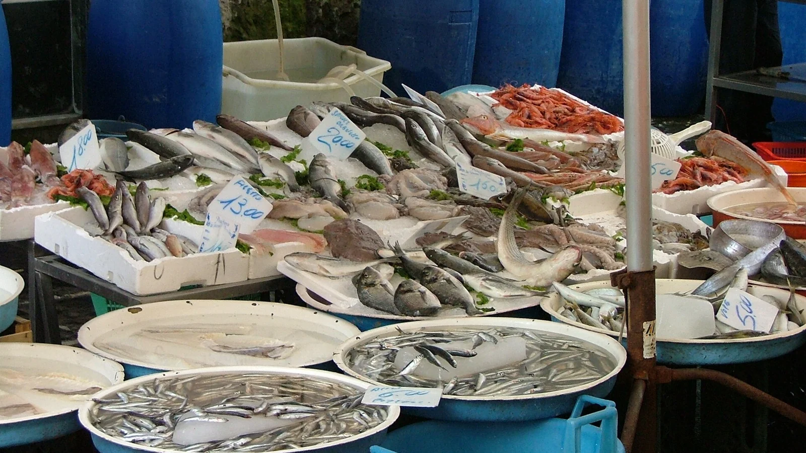 Crudo di mare a Napoli: da dove nasce una tradizione che va oltre la moda