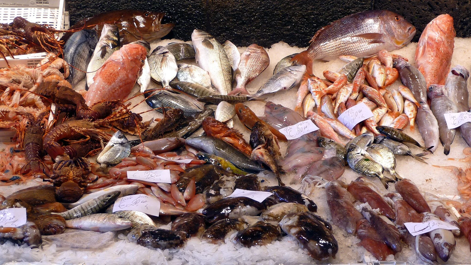 A settembre cambia il banco del pesce: cosa arriva davvero dopo la fine dell’estate